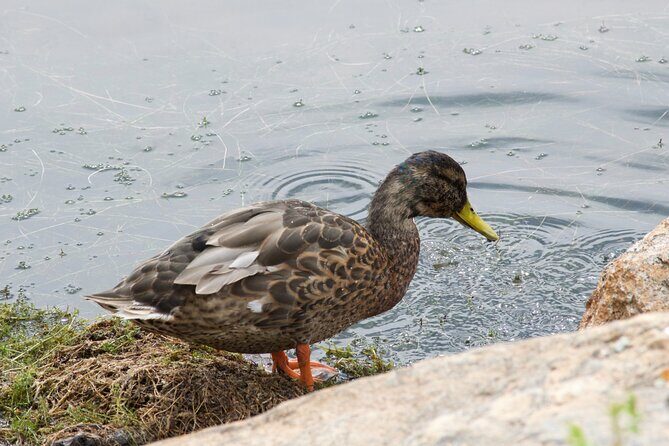 Rocky Mountain National Park Half Day Hike - Who is this tour best suited for?