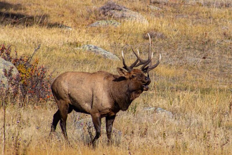 Rocky Mountain National Park Hike - Key Points