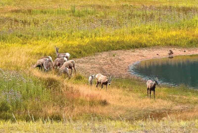 Rocky Mountain National Park Hike - The Experience and Atmosphere