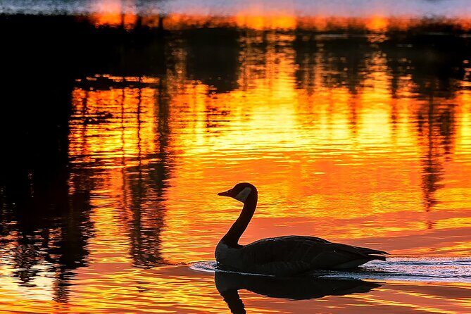 Rocky Mountain National Park Sunrise Hiking Tour - An Honest Look at the Sunrise Hiking Experience