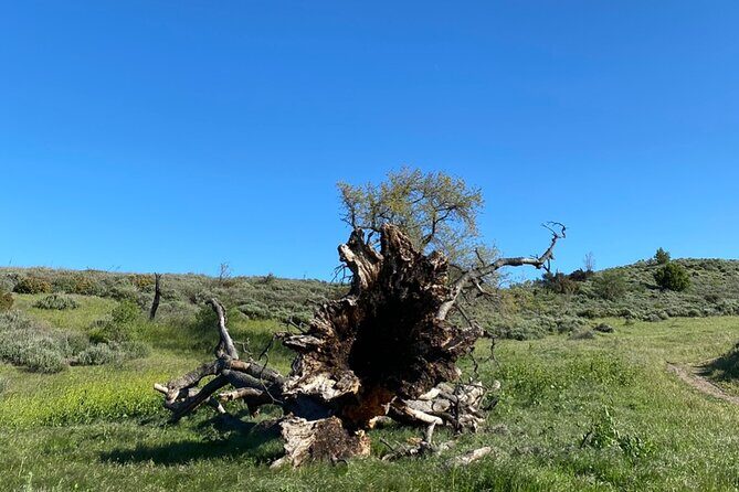 Rocky Peak Electric Mountain Biking Tour (Beginner) - FAQ