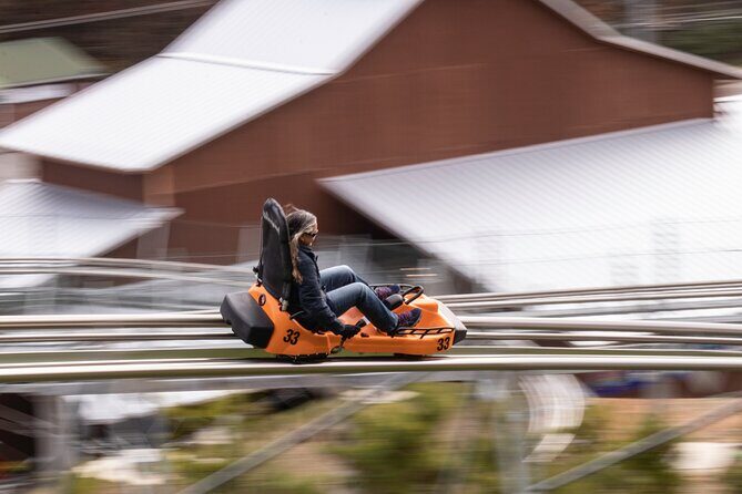 Rocky Top Mountain Coaster Admission Ticket in Pigeon Forge - Is it Family Friendly?