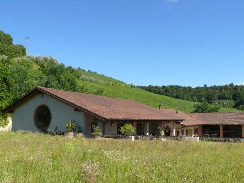 Roero: Wine Tasting Tour at Historic Family Winery - A Deep Dive into the Experience