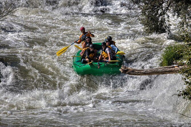 Rogue River Half Day Whitewater Trip Nugget Falls - Authentic Traveler Feedback