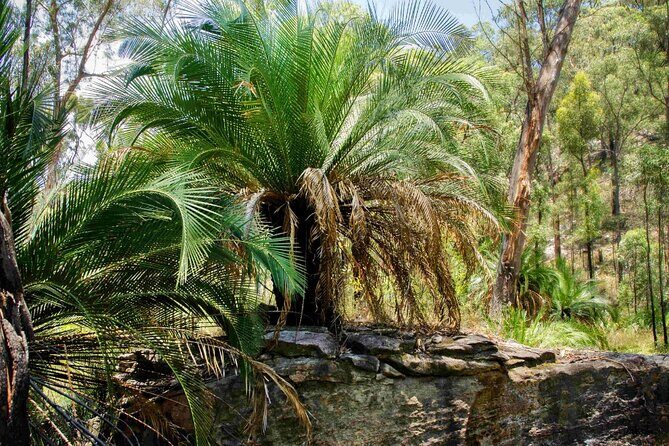 Roma: Lost World Carnarvons (Wallaroo) Day Tour - Final Thoughts