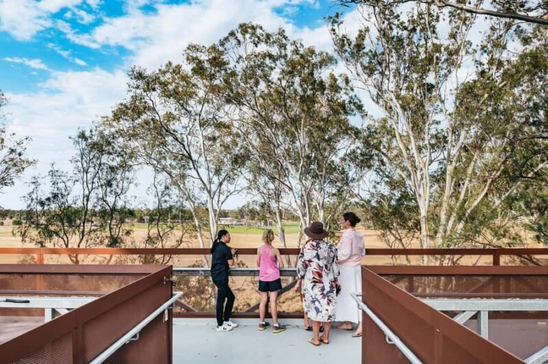 Roma: The Big Rig Oil Patch and Tower & Tree Walk - Exploring the Experience