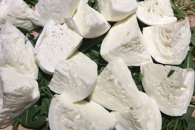 Roman Food Tour with Visit to the Trionfale Food Market - The Cost and How it Stacks Up