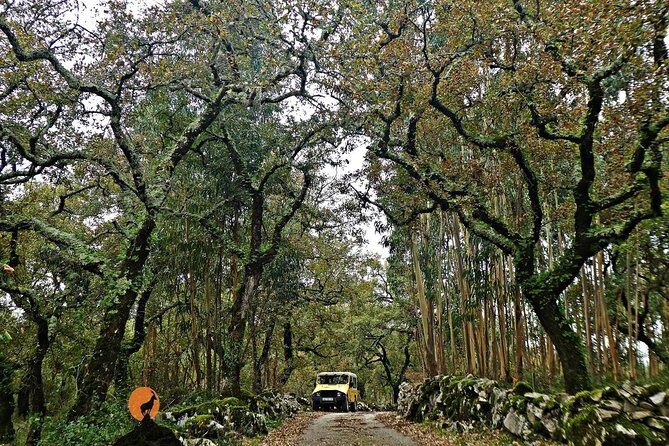 Roman Ruins of Conímbriga, Penela Castle and Buracas do Casmilo - Final Verdict