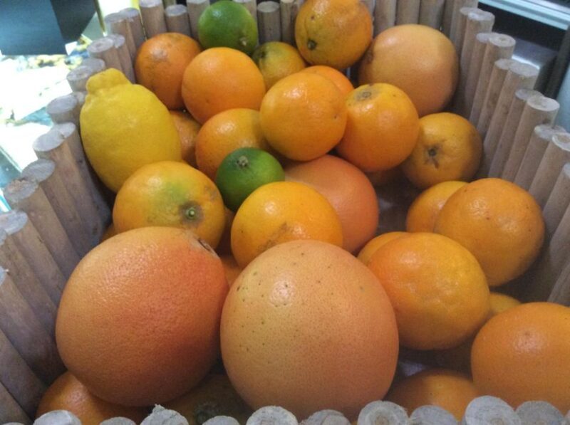 Roman Vegetarian Food Tour - An Honest Look at the Roman Vegetarian Food Tour