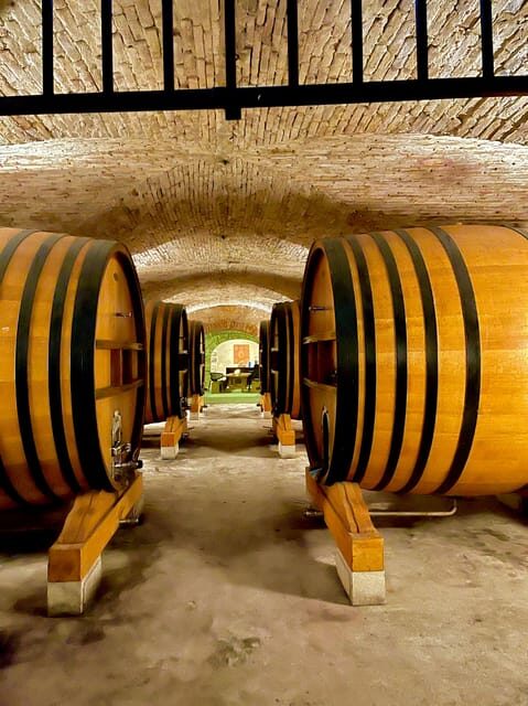 Romans and Wine - In The Sum Up