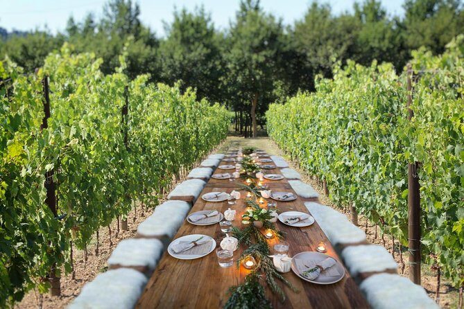 Romantic Lunch in the Vine Rows in Tuscany - Final Thoughts