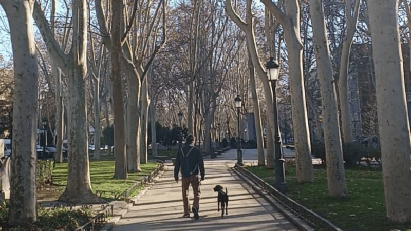 Romantic Madrid in the 19th century - FAQs