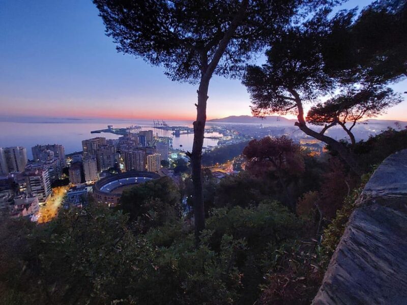 Romantic Night Tour of Málaga by Electric Car - Key Points