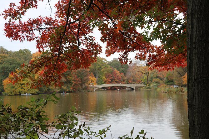 Romantic/Proposal Central Park Carriage Tour (Up to 4 Adults) - Who Will Love This Experience?