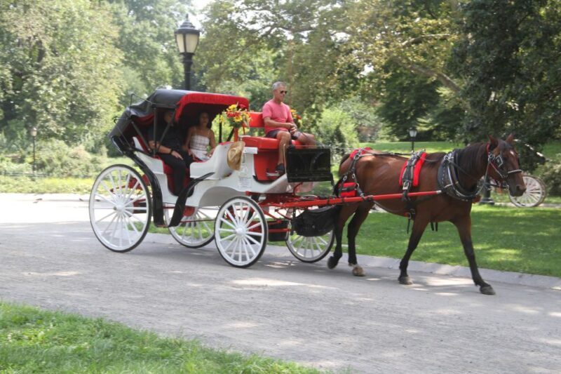 Romantic/Proposal Central Park Carriage Tour Up to 4 Adults - Romantic/Proposal Central Park Carriage Tour Up to 4 Adults: An Honest Look