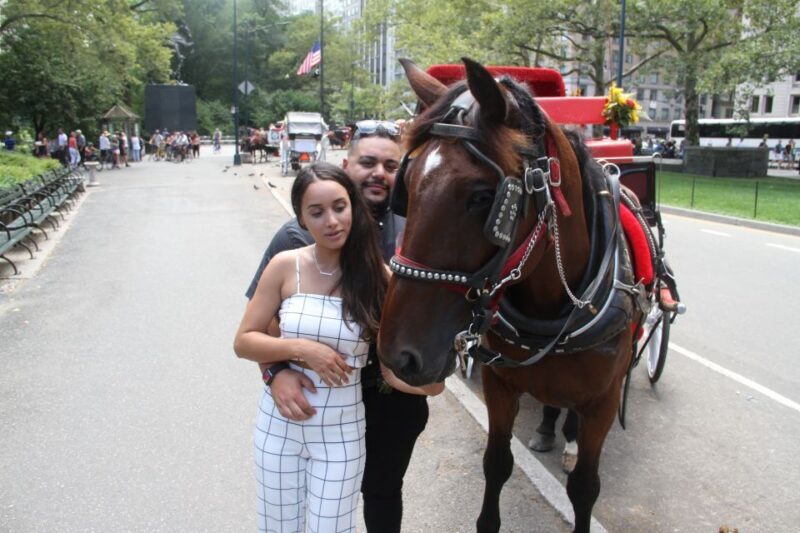 Romantic/Proposal Central Park Carriage Tour Up to 4 Adults - What’s the Experience Really Like?