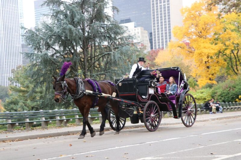Romantic/Proposal Central Park Carriage Tour Up to 4 Adults - Who Will Love This?