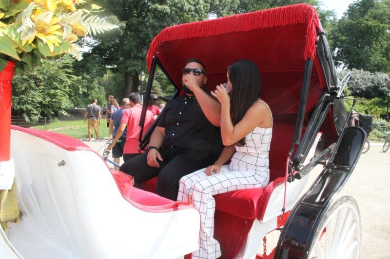 Romantic/Proposal Central Park Carriage Tour Up to 4 Adults - The Bottom Line: Who Is This For?
