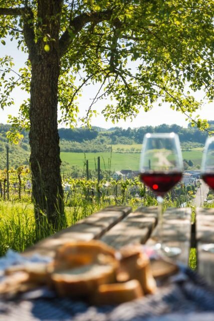 Romantic Road Ticket Würzburg - Rothenburg with Wine Tasting - Potential Drawbacks to Consider