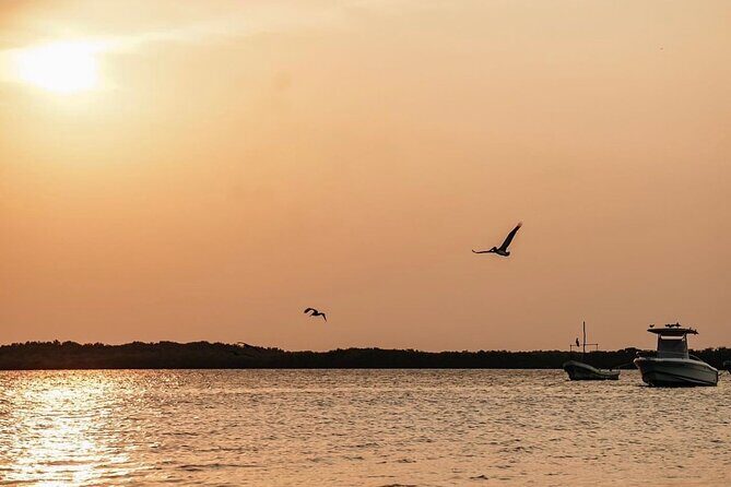 Romantic sunset tour in Río Lagartos, with food - Final Thoughts