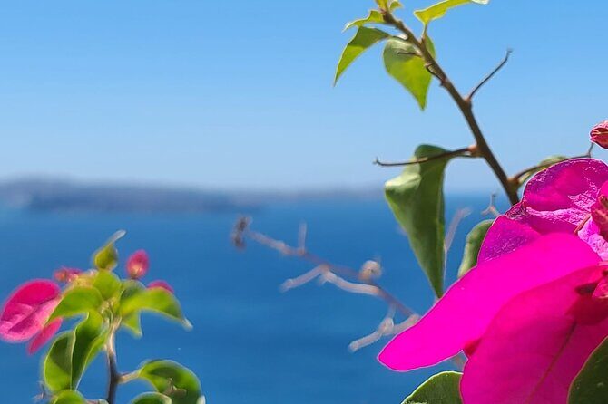 Romantic Tour through Santorini - The Value of a Private, Customized Tour