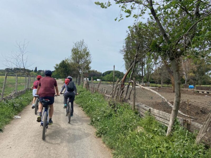 Rome: Appian Way Guided Tour on E-Bike with italian Aperitif - Exploring Romes Hidden Corners on Two Wheels