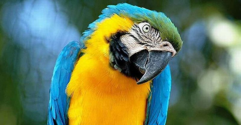 Rome: Bioparco di Roma Zoological Garden Entry Ticket - Bears by the water and other “worth the wait” moments