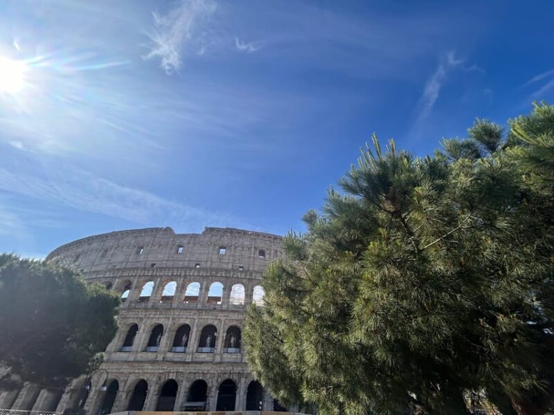 Rome: Colosseum Arena, Roman Forum & Palatine Tour - FAQs