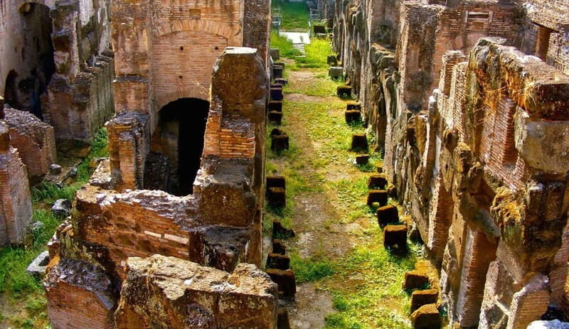 Rome: Colosseum Gladiator's Arena and Roman Forum Tour - Final Words
