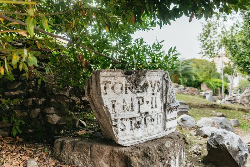 Rome: Colosseum, Palatine Hill & Roman Forum Guided Tour - Palatine Hill: The View and the Backstory
