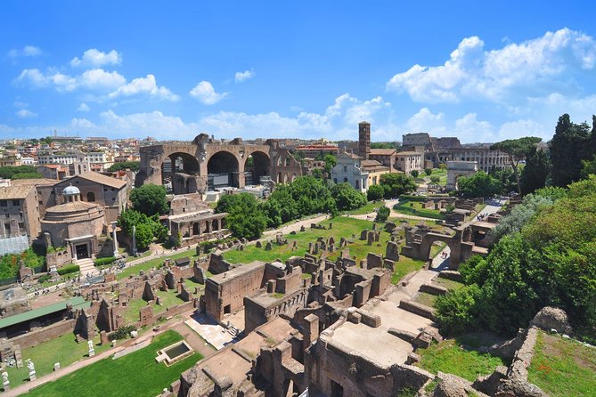 Colosseum, Roman Forum & Palatine Hill Guided Tour - Roman Forum Stop: Temples, Public Life, and Political Power