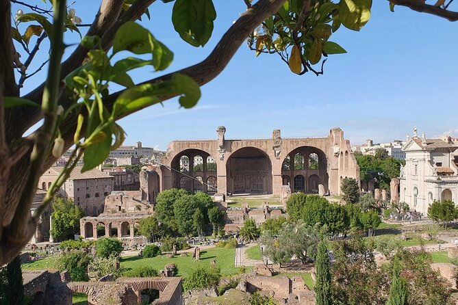 Rome: Colosseum, Roman Forum & Palatine Hill Experience - The Audio Guide: Helpful, But Not Perfect