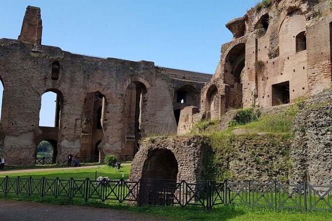 Rome Colosseum,Palatine Hill and Roman Forum Guided Tour - Key Points
