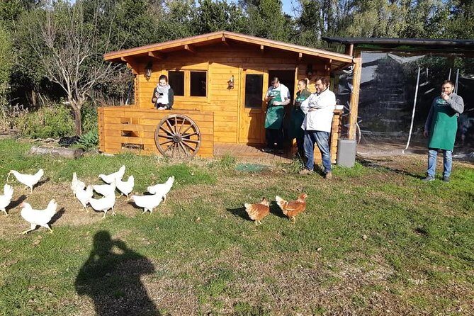 Rome Cooking Class: Make Pizza and Pasta with Wine & Dessert - Final Thoughts: Who Will Love This?