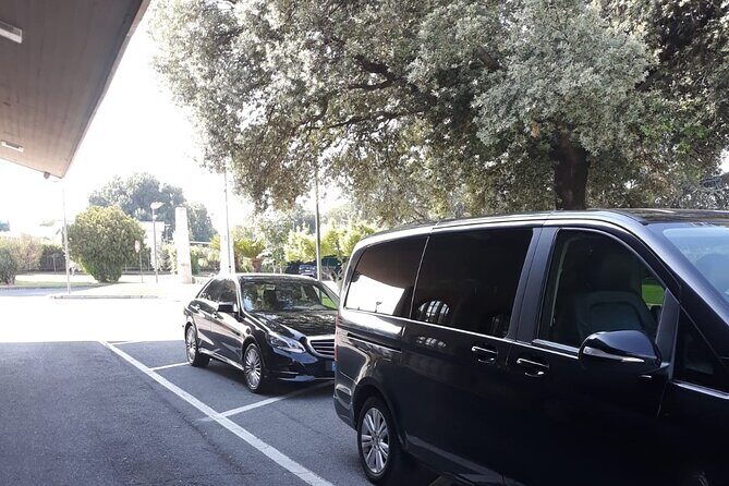 Rome Countryside Delights: Exclusive Wine Tasting Tour - A Closer Look at the Experience