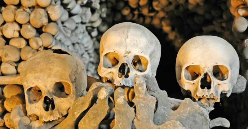Rome: Dark Past Walking Tour with Capuchin Crypt Ticket - The Guide Experience and Group Size