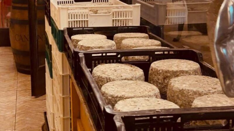 Rome E-Bike Highlights Tour & Tasting in Secret Cave - The Guides and Group Experience