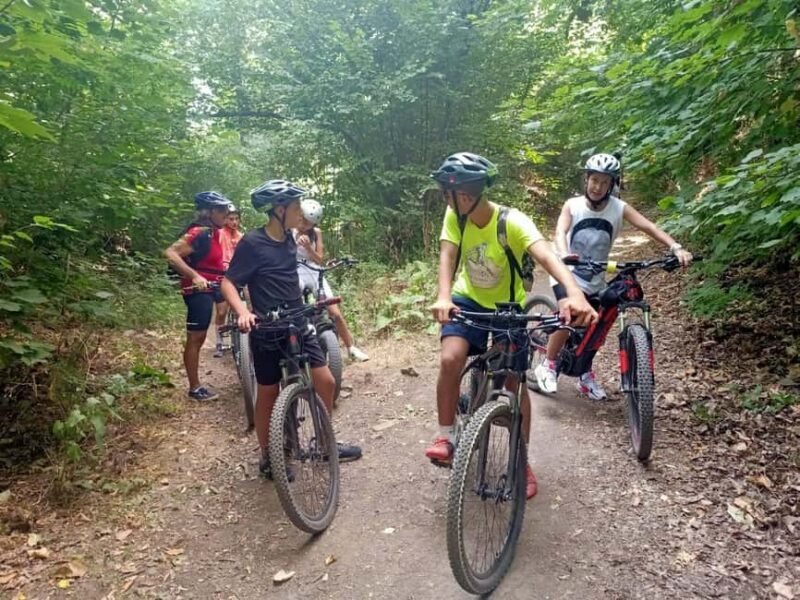 Rome E-Bike Tour: Frascati Vineyard & Wine Tasting Adventure - The Experience Provider: Bicycle Roma