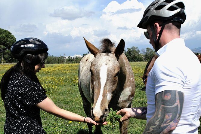 Rome EBike Tour: Appian Way, Catacombs & Roman Aqueducts - Practical Considerations Before You Book