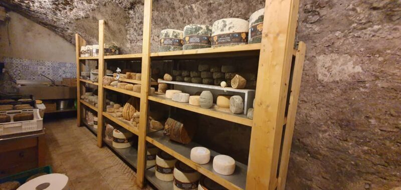 Rome: Explore Testaccio Market and Local Hidden Gems - Final Thoughts