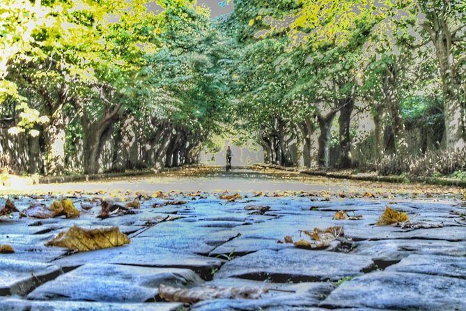 Rome: Frascati Vineyard Bike Tour with Train Tickets - A Closer Look at the Itinerary