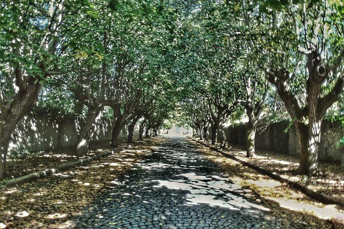 Rome: Frascati Vineyard Bike Tour with Train Tickets - Why This Tour Works Well