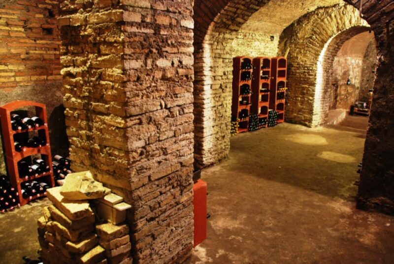 Rome: Guided Tasting of Natural Lazio Wines - Who Should Consider This Tour?