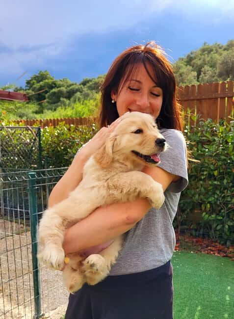 Rome: Guided Visit of a Golden Retriever and Cocker Spaniel Breeding Farm - Key Points