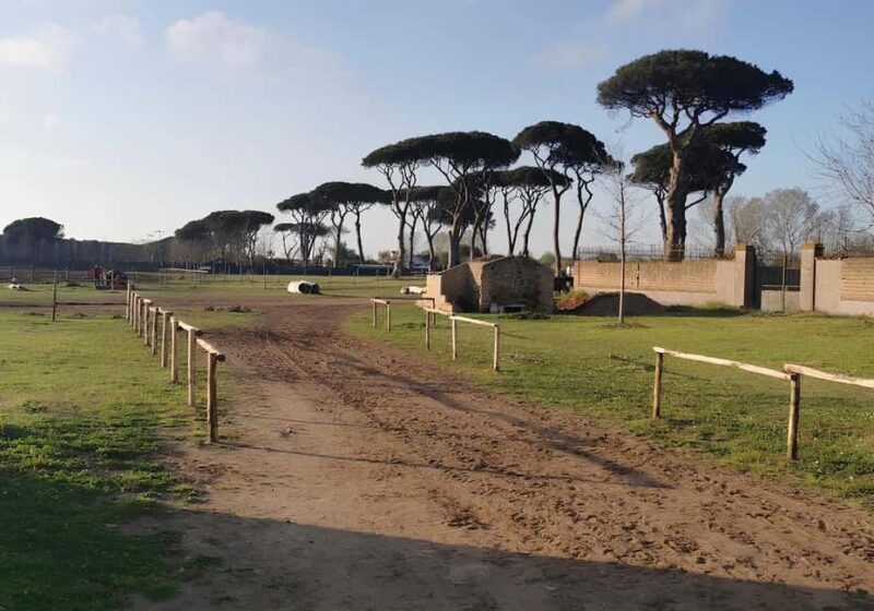 Rome: Horseback Riding Experience in Castel Fusano - Key Points