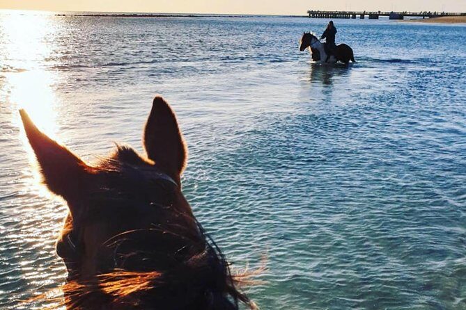 Rome: Horseback Riding on the Beach with aperitif - Final Thoughts: Is It Worth It?