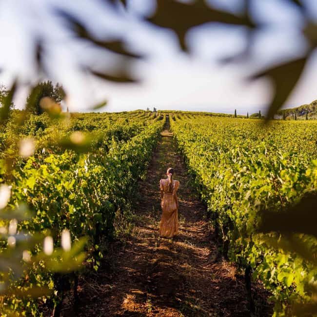 Rome: Private Castelli Romani Wine Tasting Tour - What Makes the Winery Special?