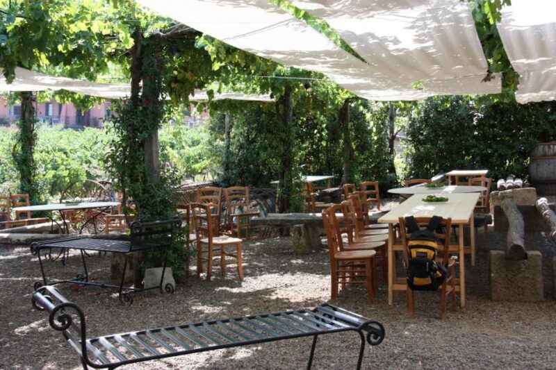 Rome: Private Castelli Romani Wine Tasting Tour - Value for Money and Overall Impression