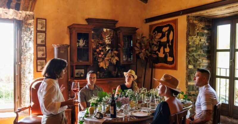 Rome: Private Countryside Wine Tasting Tour - Key Points