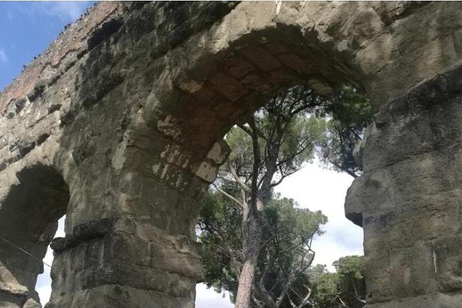 Rome Private Tour by English speaking driver - Our Honest Take